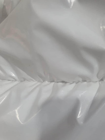 High Shine Nylon Briefs with Contrasting Lining