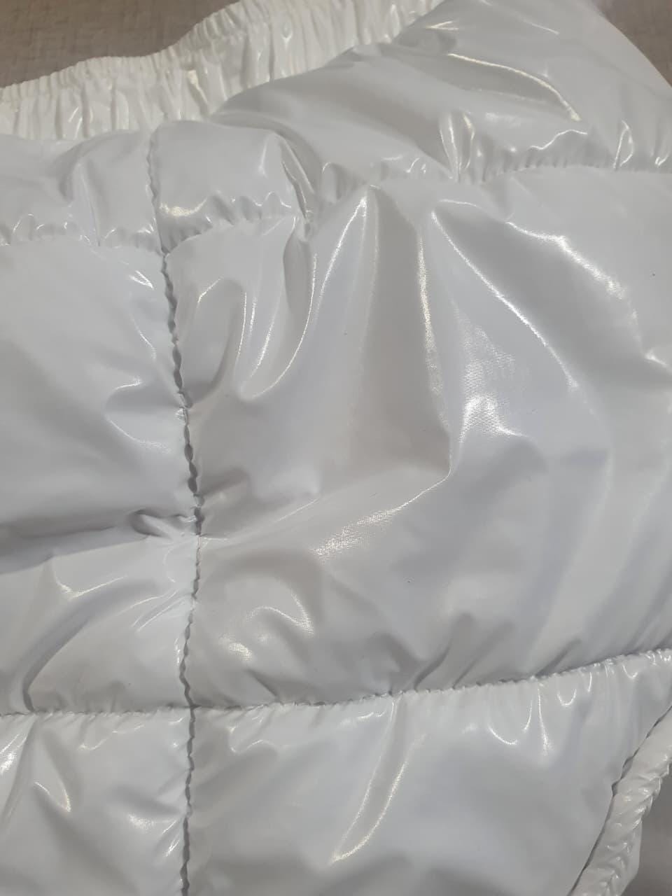 High Shine Nylon Briefs with Contrasting Lining